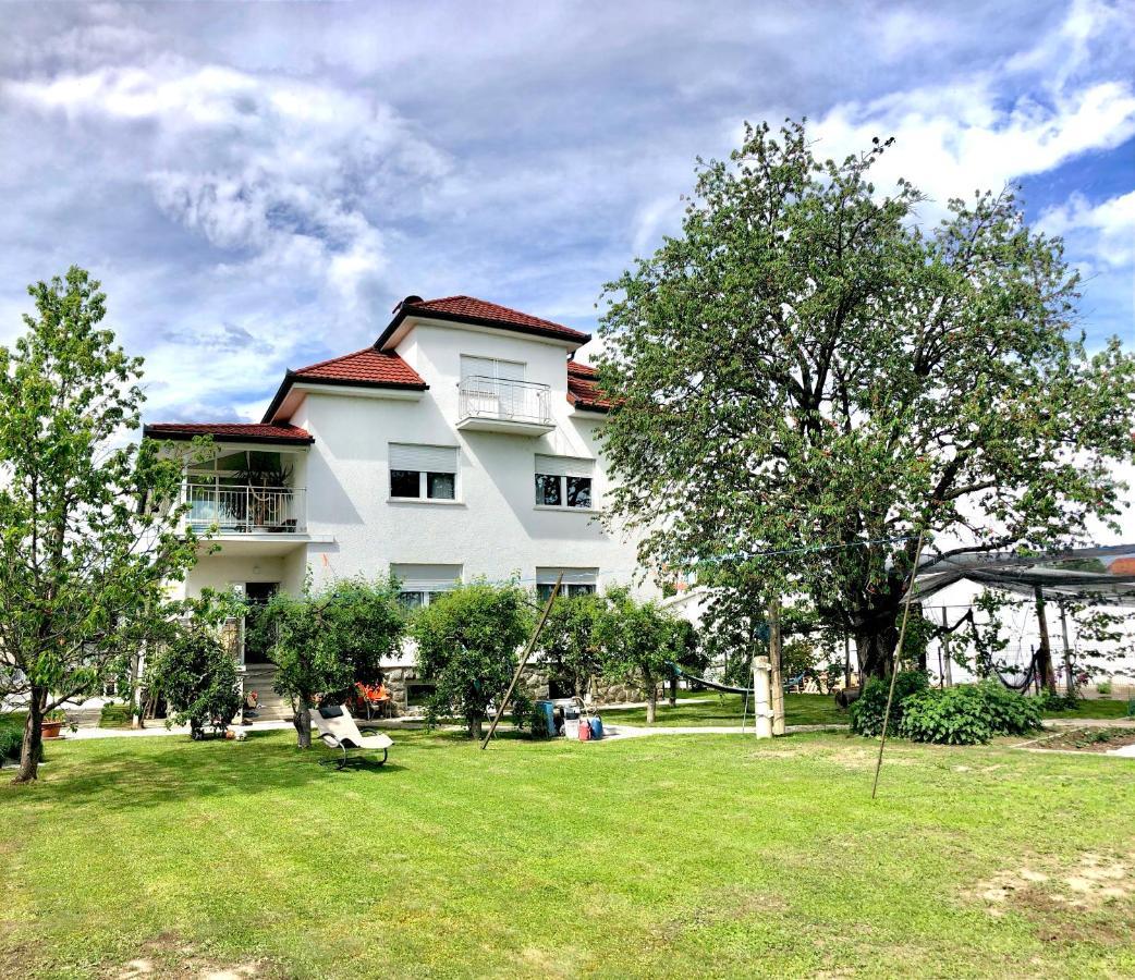 Apartments Andrej - Optuj Exterior foto